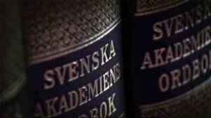 DOK-SNILLEOCHSMAK-SVENSKAAKADEMIEN-02_992