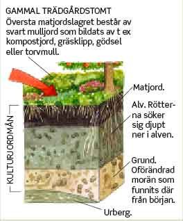 Bild-3_jordlager_webb