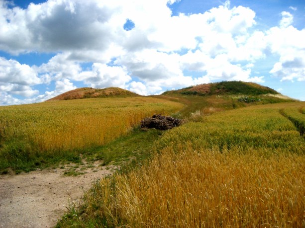 image-bolmers-hogar-0