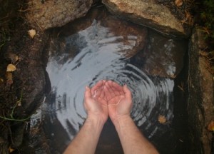 kopia-av-imgp0348_58520261