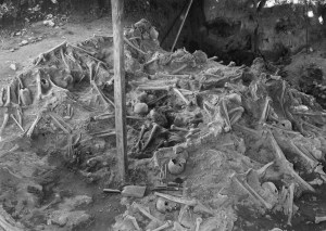 1_53382a4f2a6b2201ccb53498