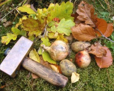 tumblr_lakzjfgQmT1qer9b0o1_500