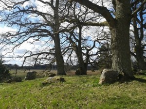 alla_gotars_ting_i_gotala_maj_2015b_561ec4e9e087c31b1adf63e1