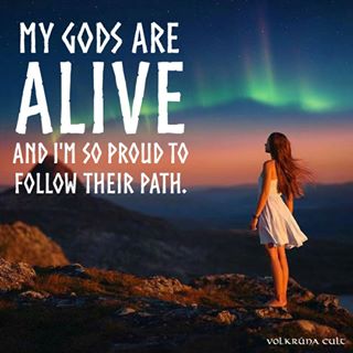 12237506_140195409671600_1592088087_n