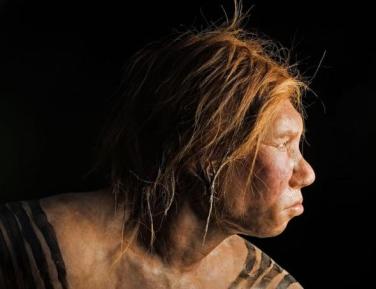 neanderthals-interbreeding-humans_19941_990x742.adapt.590.1