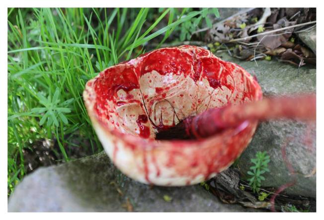 13116348_1054099981326334_7213541209764247661_o