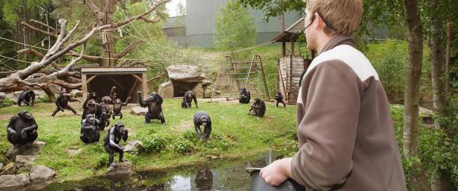 guidning_apa_017_top_desktop