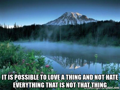 possible-to-love-a-thing