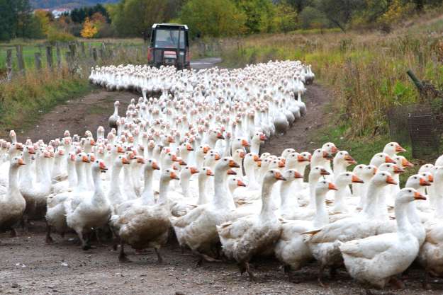 47e51c59-f816-4011-931c-eff47ac57088