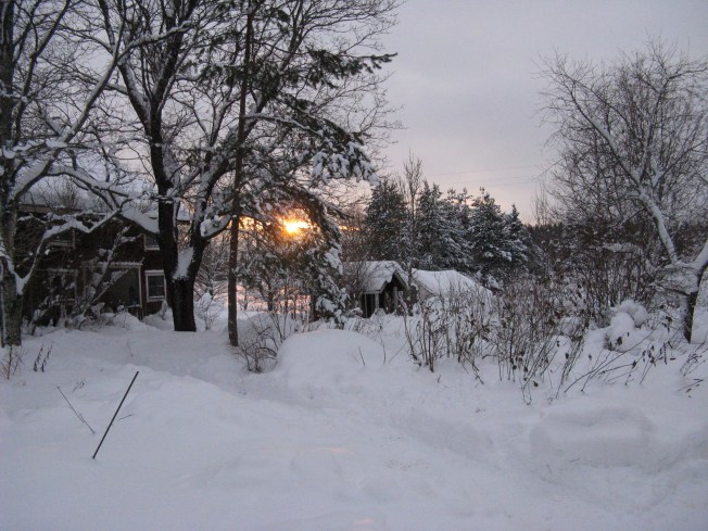 vinter-14-dec-2010_2330