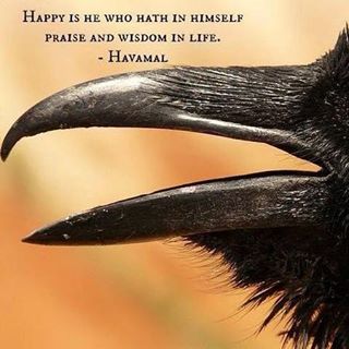 11906141_1046048642081050_300750699_n